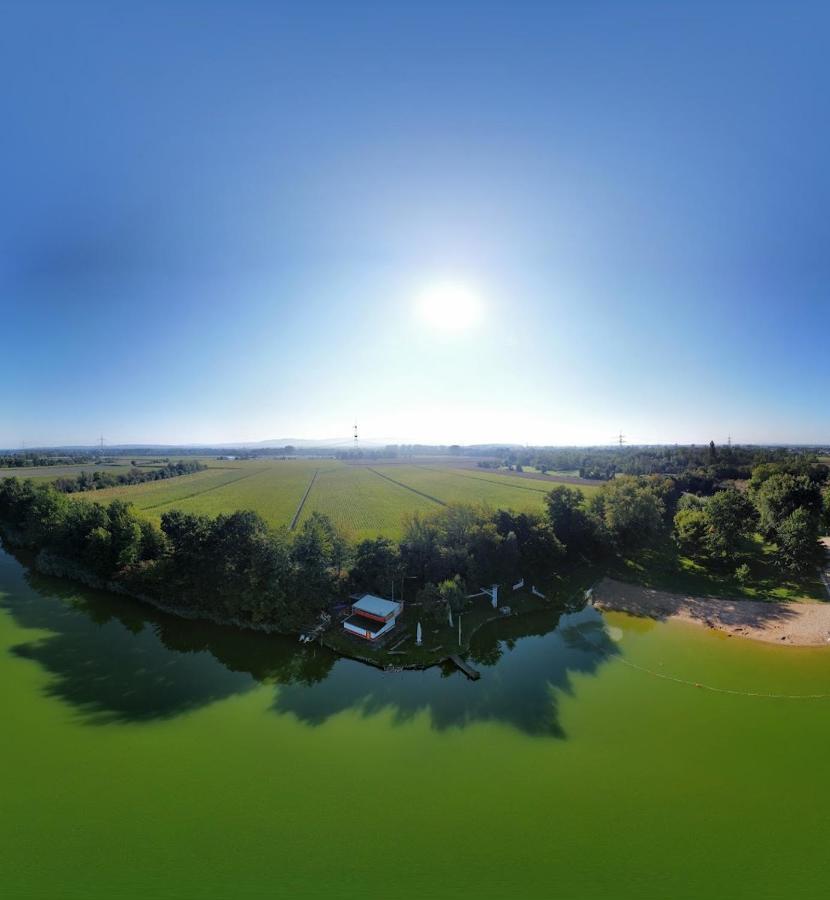 River View Near Frankfurt -- 3 Zimmer -- 4 Betten Und 1 Groesse Schlafcouch Hainburg Esterno foto